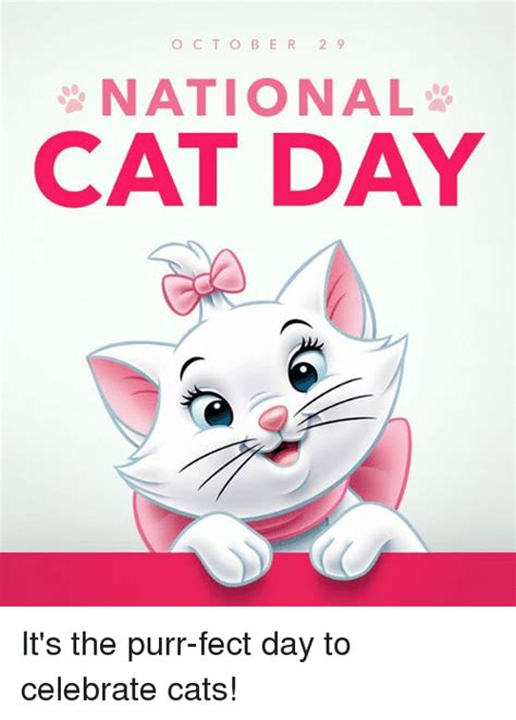 October 29 National Cat Day Card
