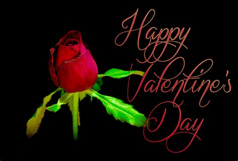Valentines Love And Roses Animated S Best Animations Valentines
