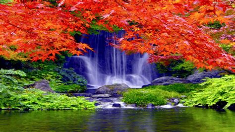 Waterfall Forest Falls Nature Waterfalls Autumn Wallpaper 2880x1620