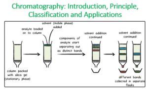 Chromatography Introduction Principle Classification And Applications