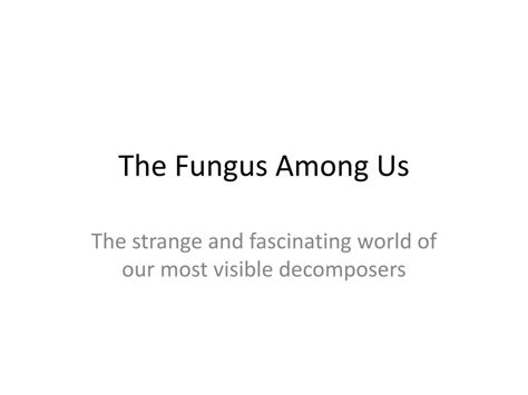Ppt The Fungus Among Us Powerpoint Presentation Free Download Id
