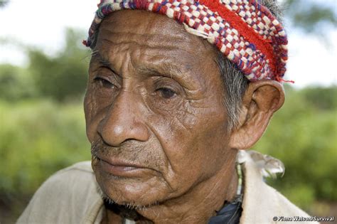 Guarani translation to or from english. Guarani-indianen bang voor bloedbad - Survival International