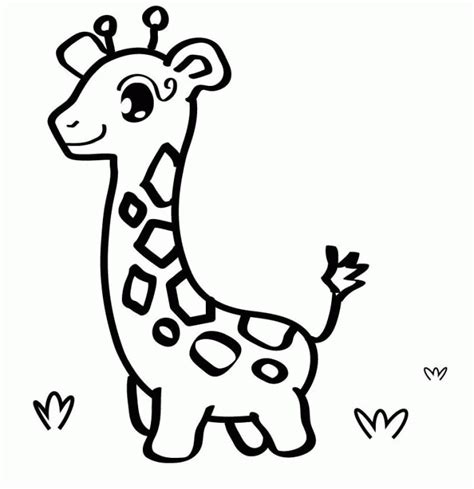 Cute Baby Animal Coloring Pages To Print Coloring Home