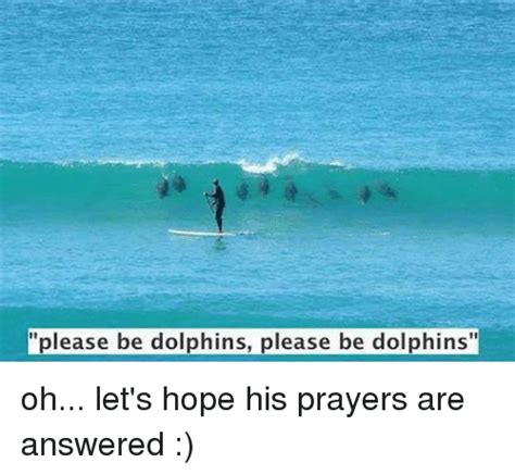 Please Be Dolphins Please Be Dolphins Oh Lets Hope His Prayers Are