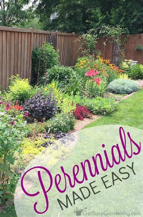 Elegant Flower Garden For Beginners Backyards Perennials