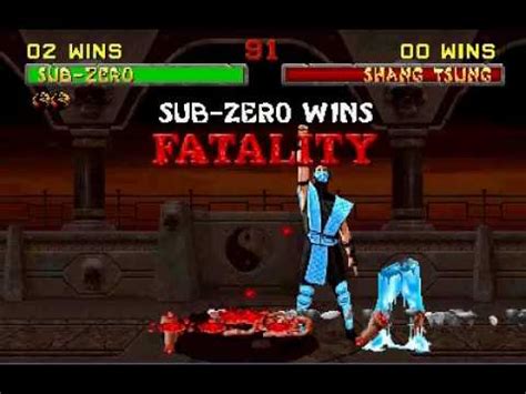Mortal Kombat Sub Zero Finishing Moves Youtube