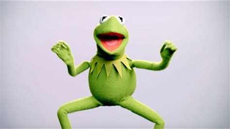 Dont Miss A Rainbow Connection The Best Kermit The Frog Memes Film