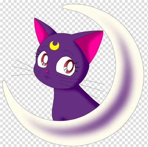 Luna Cat Sailor Moon Aesthetic