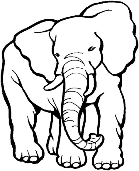 Hewan darat raksasa yang memiliki ukuran super besar. Sketsa Gambar Hewan Berkaki Empat (4) | gambarcoloring