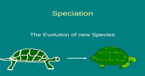 Speciation The Evolution Of New Species Speciation The Formation Of