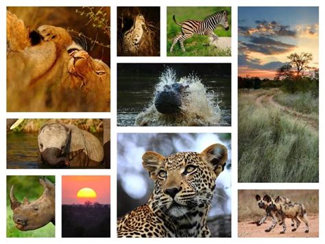 Top 10 Wildlife Sanctuaries In India Travelsite India Blog