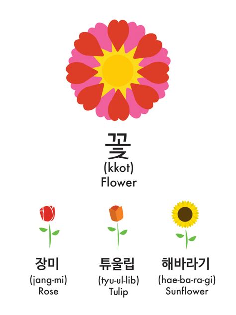 I can read hangul and i know a little bit of the structure in korean but i still need to learn a lot of vocabulary and practice ^^ sorry for the late reply but i really appreciate the help. How to Say Flower in Korean | Learn Basic Korean ...