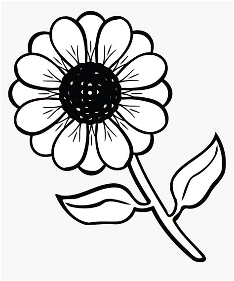 Transparent Flowers Clipart Black And White Flower Black And White