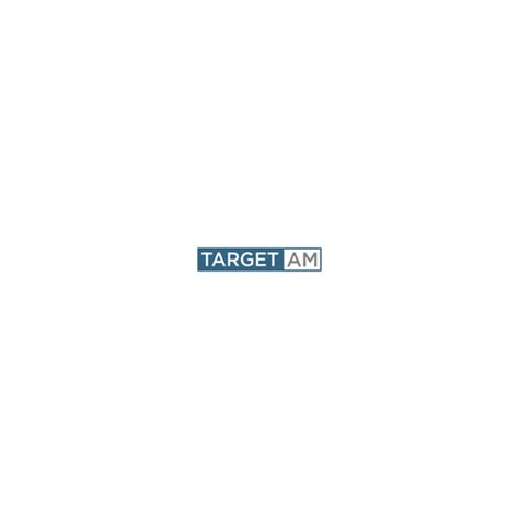 A Logo For An Innovative Asset Management Company Target Asset Management Logo Design Contest