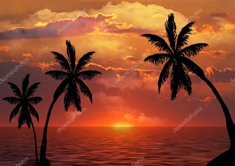 Palm Trees Silhouette At Sunset — Stock Photo © Zhanna 6855204