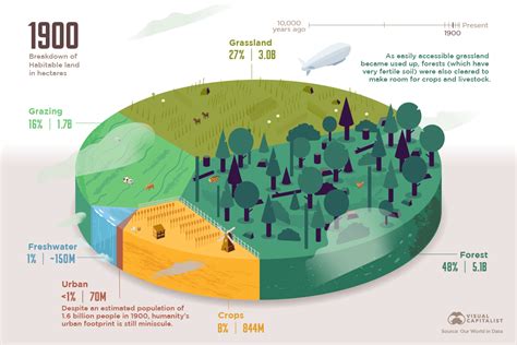 Visualizing The Worlds Loss Of Forests Since The Ice Age