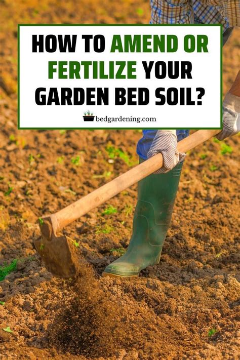 How To Amend Or Fertilize Your Garden Bed Soil Soil Improvement