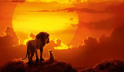 Lion King Sunset 3840x2160 Rwallpaper