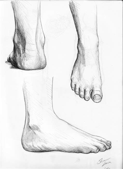Drawings Of Feet The Shaunart Blog