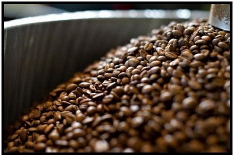 Café de México - Café mexicano, en la peor crisis en más de 100 años