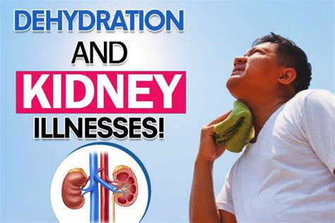 Can Your Kidneys Hurt If You Are Dehydrated