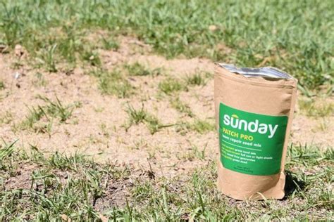 Everything comes in a box these days, including recipes for a lawn that looks good and is also environmentally friendly, according to lewis says he founded sunday after he bought his first home, started researching how to care for his lawn and was shocked by the idea of spraying toxic chemicals. How Sunday Lawn Care Revived Our Lawn + Coupon Code ...