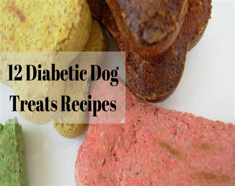 Homemade diabetic dog treat recipe. Diabetic Dog Treats : 12 Diabetic Dog Treats Recipes (With ...