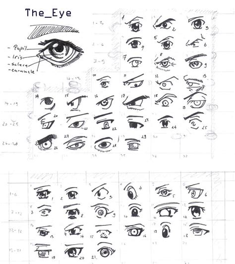 Reference Manga Eyes By Aoi Ne Blue On Deviantart Manga Eyes Manga Eyes