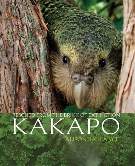 Kakapo Rescued From The Brink Of Extinction By Alison Ballance