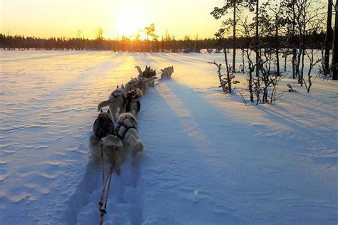 Taxari Travel Sea Lapland Travel Agency Kemi All You Need To Know