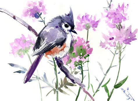Pin On Watercolor Birds