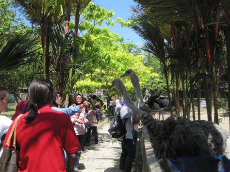 Tempah sekarang, bayar kemudian dengan agoda. marina inn: TEMPAT MENARIK & TUMPUAN TERKINI