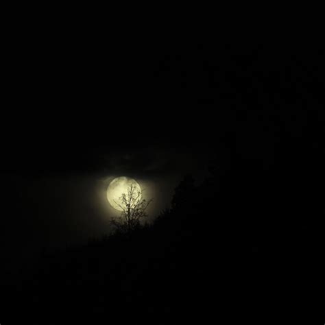 A Foggy Moon Michael Figiel Flickr