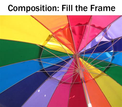 Composition Fill The Frame Fill The Frame Composition Photography