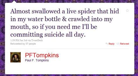Quotes About Spiders Quotesgram