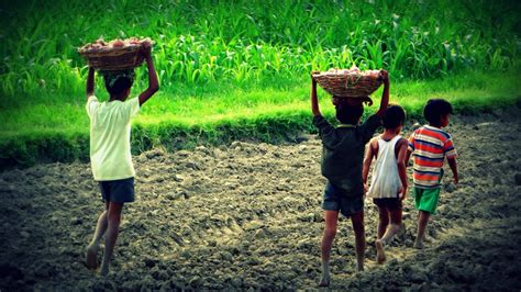 Child Labor In India Humanium
