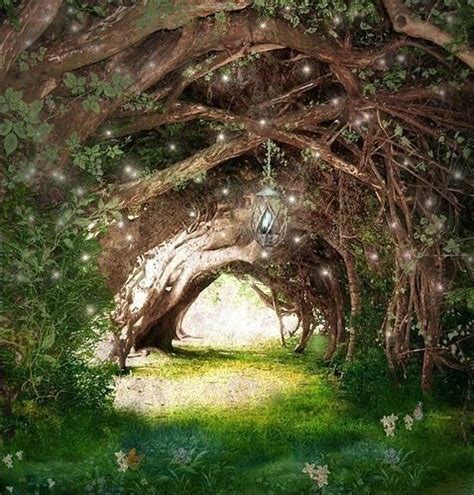 Lights In Tunnel Forest Fairy Magical Places Enchanted Forest
