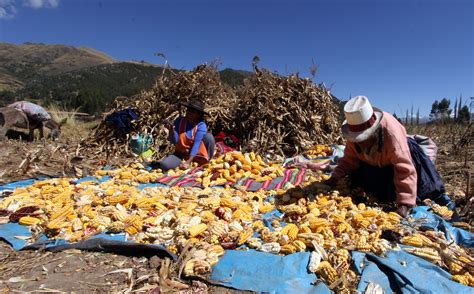 Imagen De Una Poblacion Rural