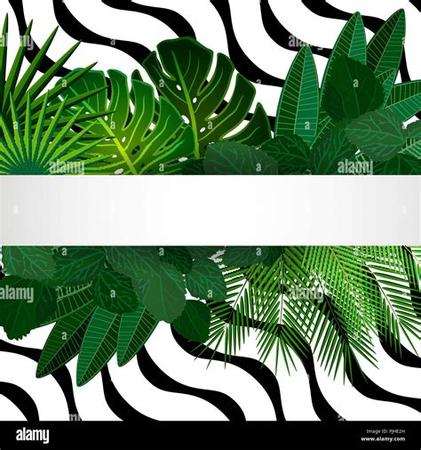 Tropical Leaves Background With Geometric Elements Vector Floral