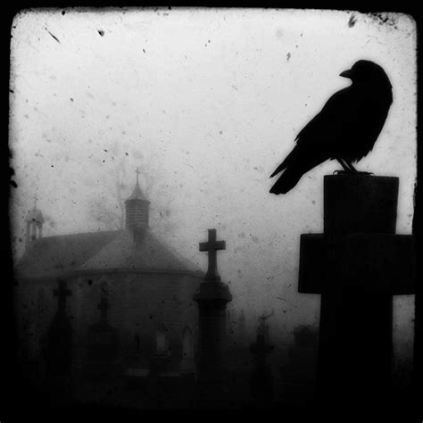 Dark Crow Photograph By Gothicrow Images