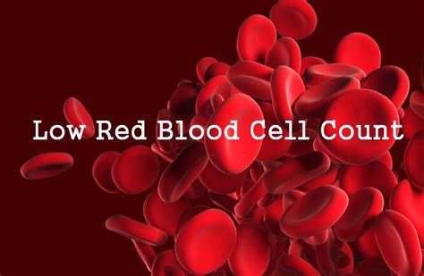 Low Red Blood Cell Count Pregnancy