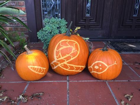 Snake Pumpkins Pumpkin Carving Pumpkin Pumpkin Carving Kits