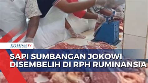 Rph Ruminansia Layani Pemotongan Hewan Kurban Sapi Sumbangan Presiden