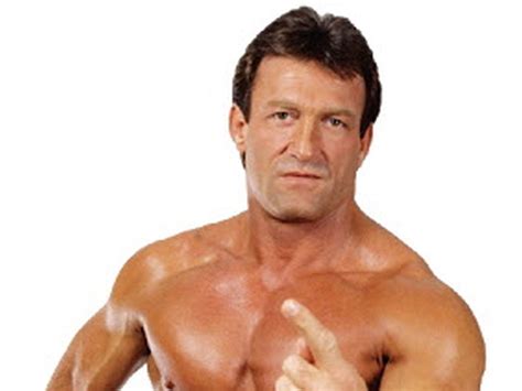 .paul orndorff backs up his mr. 'Mr. Wonderful' Paul Orndorff | hobbyDB