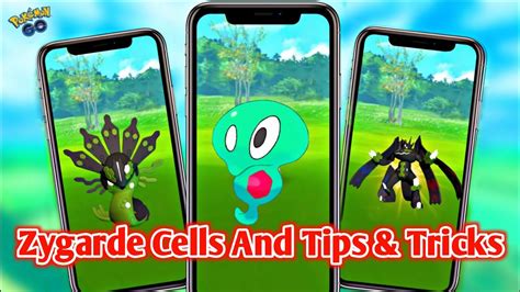 Zygarde Cells And Tips And Tricks How To Find Zygarde Cells Pokemon Go