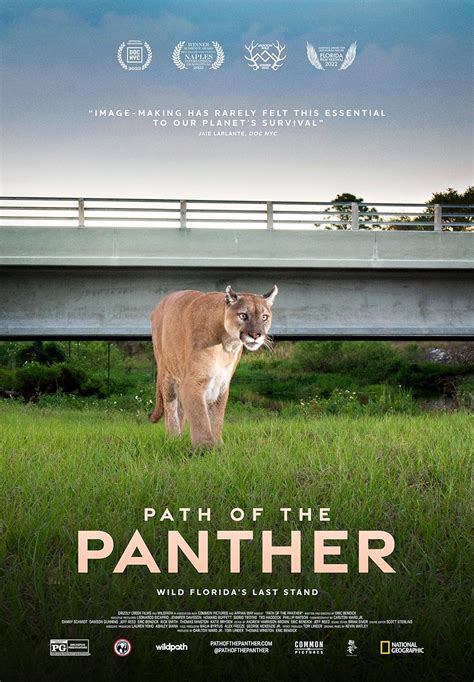 Path Of The Panther 2022 Imdb