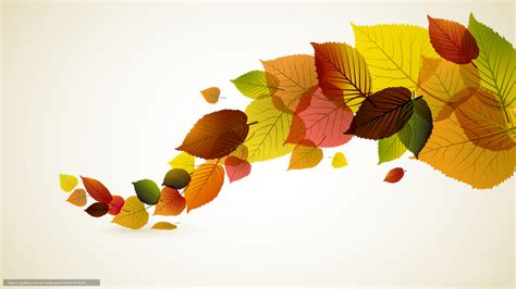 Download Wallpaper Minimalism Autumn Leaves Vector Free Desktop