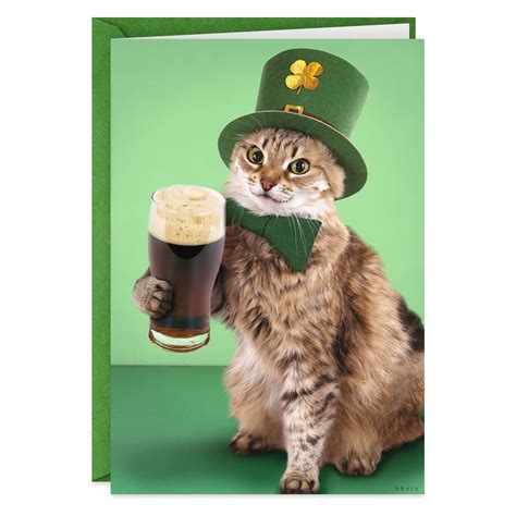 Leprechaun Cat Funny St Patricks Day Card Greeting Cards Hallmark