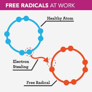 How and why do they occur and how can you reduce their effects? Life Extending Guide to Antioxidants - That's Really Possible