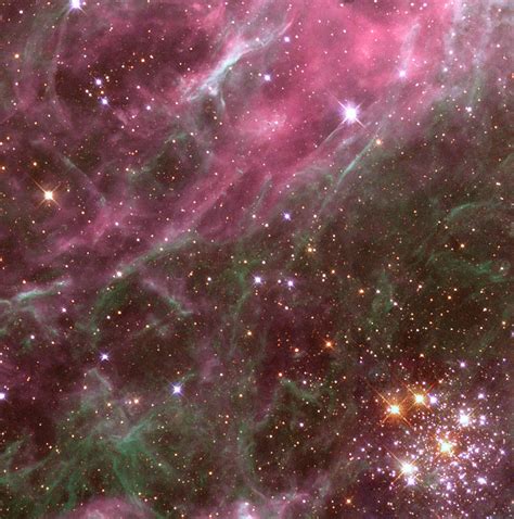 Archivotarantula Nebula Detail Wikipedia La
